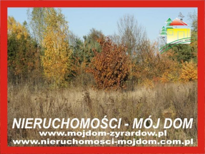 Działka budowlana - Wiskitki   - Mazowieckie