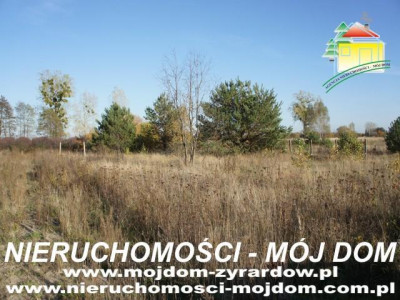 Działka budowlana - Wiskitki   -
Mazowieckie Zdjęcie nr 2