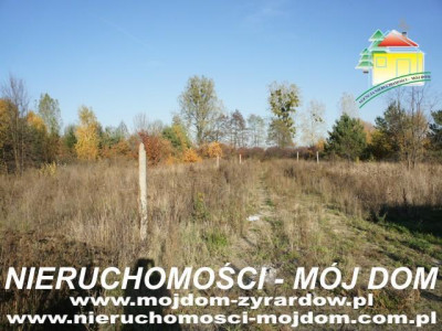 Działka budowlana - Wiskitki   -
Mazowieckie Zdjęcie nr 8
