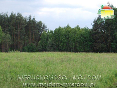 Działka rolno-budowlana - Stare Budy   -
Mazowieckie Zdjęcie nr 5