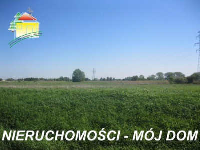 Działka rolna - Żyrardów   -
Mazowieckie Zdjęcie nr 2