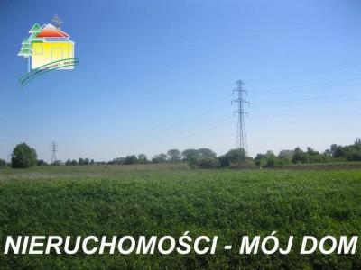 Działka rolna - Żyrardów   -
Mazowieckie Zdjęcie nr 3