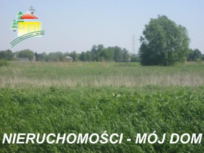 Działka rolna - Żyrardów   -
Mazowieckie Zdjęcie nr 4