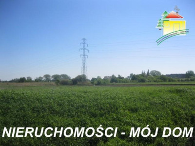 Działka rolna - Żyrardów   -
Mazowieckie Zdjęcie nr 5
