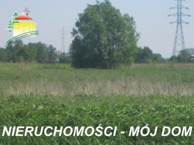 Działka rolna - Żyrardów   -
Mazowieckie Zdjęcie nr 6
