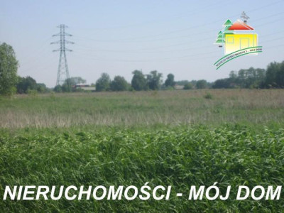 Działka rolna - Żyrardów   -
Mazowieckie Zdjęcie nr 7