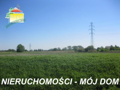 Działka rolna - Żyrardów   -
Mazowieckie Zdjęcie nr 8