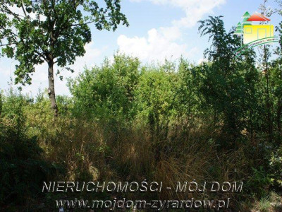 Działka usługowa - Żyrardów   -
Mazowieckie Zdjęcie nr 4