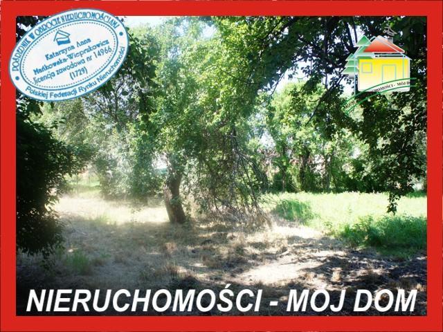 Działka budowlana - Sade Budy   -
Mazowieckie Zdjęcie nr 1