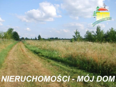 Działka budowlana - Wiskitki   -
Mazowieckie Zdjęcie nr 2