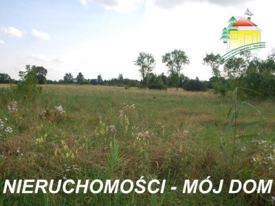 Działka budowlana - Wiskitki   -
Mazowieckie Zdjęcie nr 3