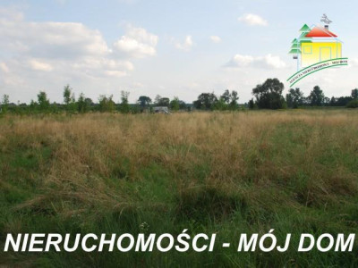 Działka budowlana - Wiskitki   -
Mazowieckie Zdjęcie nr 4