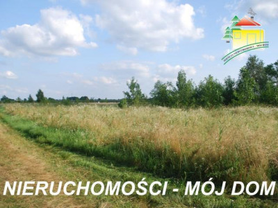 Działka budowlana - Wiskitki   -
Mazowieckie Zdjęcie nr 5