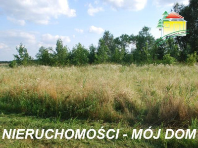 Działka budowlana - Wiskitki   -
Mazowieckie Zdjęcie nr 6