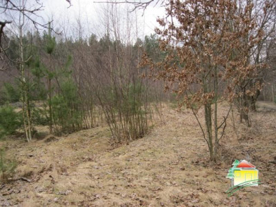 Działka rolna - Wężyk   -
Mazowieckie Zdjęcie nr 3