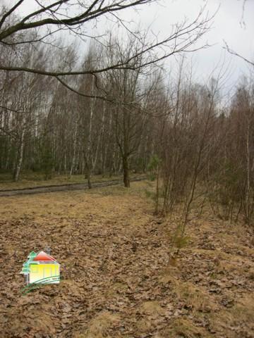 Działka rolna - Wężyk   -
Mazowieckie Zdjęcie nr 8