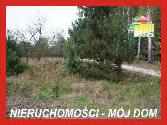 Działka rolno-budowlana - Lisowola   -
Mazowieckie Zdjęcie nr 1