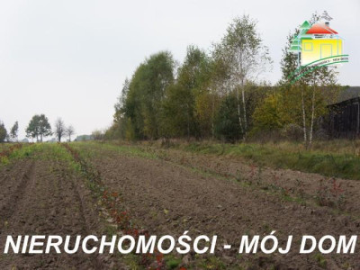 Działka rolno-budowlana - Lisowola   -
Mazowieckie Zdjęcie nr 2