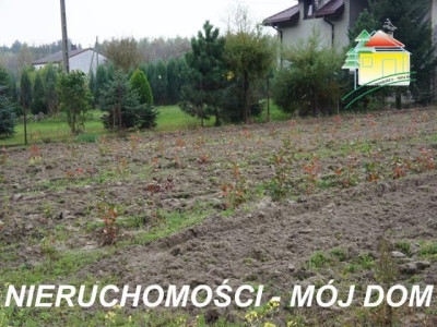 Działka rolno-budowlana - Lisowola   -
Mazowieckie Zdjęcie nr 3