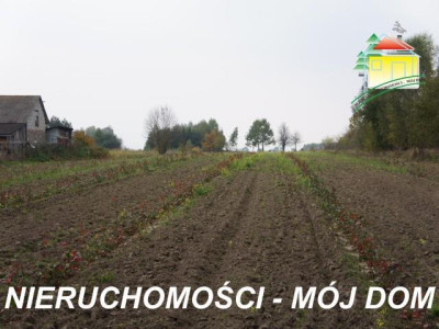Działka rolno-budowlana - Lisowola   -
Mazowieckie Zdjęcie nr 4