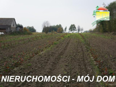 Działka rolno-budowlana - Lisowola   -
Mazowieckie Zdjęcie nr 5