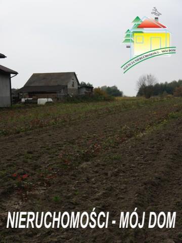 Działka rolno-budowlana - Lisowola   -
Mazowieckie Zdjęcie nr 7
