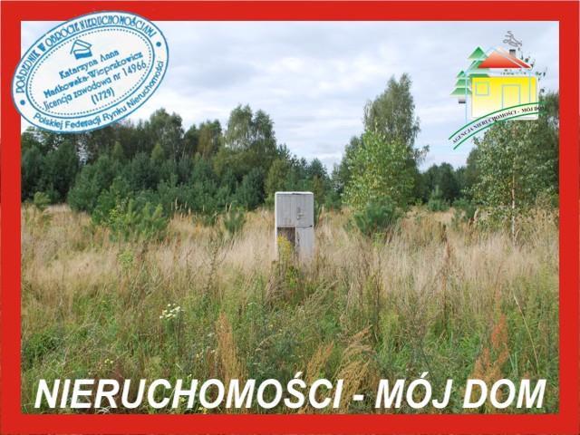 Działka budowlana - Sokule   -
Mazowieckie Zdjęcie nr 1
