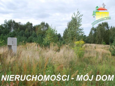 Działka budowlana - Sokule   -
Mazowieckie Zdjęcie nr 2
