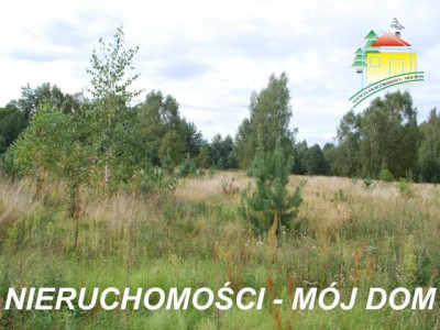 Działka budowlana - Sokule   -
Mazowieckie Zdjęcie nr 3