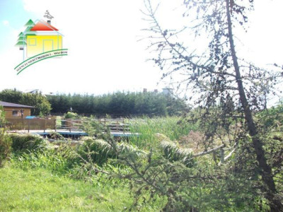 Działka budowlana - Radziejowice-Parcel   -
Mazowieckie Zdjęcie nr 2