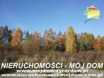 Działka budowlana - Wiskitki   - Mazowieckie