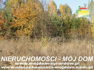 Działka budowlana - Wiskitki   -
Mazowieckie Zdjęcie nr 2