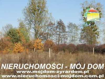 Działka budowlana - Wiskitki   -
Mazowieckie Zdjęcie nr 3