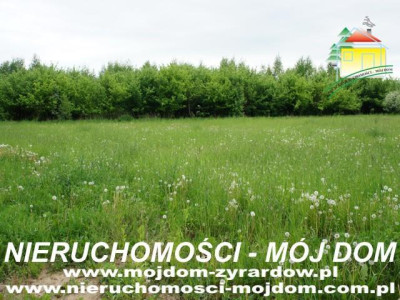 Działka usługowa - Wymysłów   -
Mazowieckie Zdjęcie nr 6