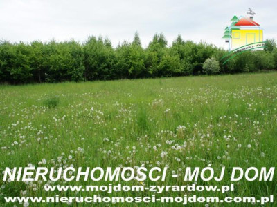 Działka usługowa - Wymysłów   -
Mazowieckie Zdjęcie nr 7