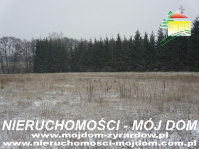 Działka budowlana - Adamowice   -
Mazowieckie Zdjęcie nr 2