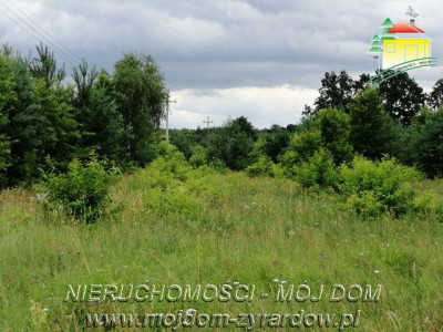 Działka budowlana - Sokule   -
Mazowieckie Zdjęcie nr 2