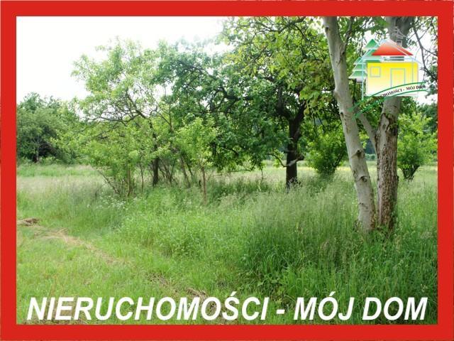 Działka inwestycyjna - Krze Duże   -
Mazowieckie Zdjęcie nr 1