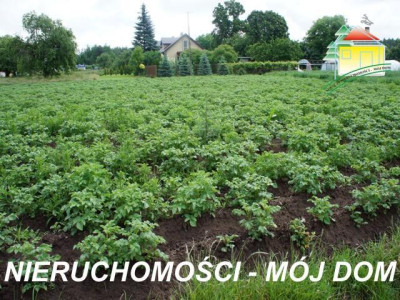 Działka inwestycyjna - Krze Duże   -
Mazowieckie Zdjęcie nr 3