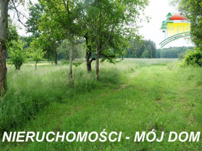 Działka inwestycyjna - Krze Duże   -
Mazowieckie Zdjęcie nr 4