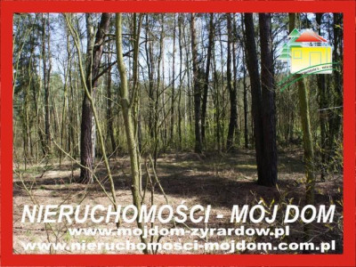 Działka leśna - Wycześniak   -
Mazowieckie