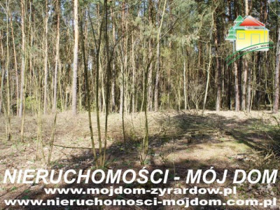 Działka leśna - Wycześniak   -
Mazowieckie Zdjęcie nr 2