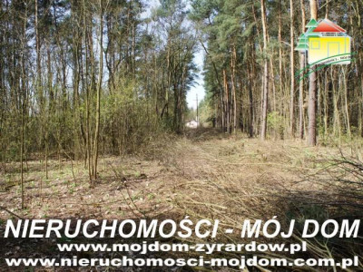 Działka leśna - Wycześniak   -
Mazowieckie Zdjęcie nr 3