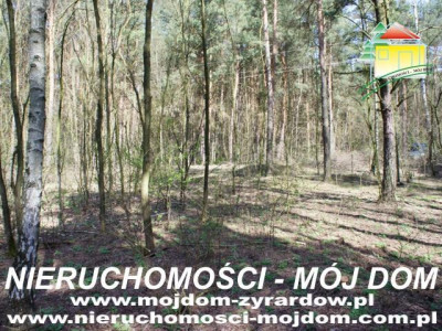 Działka leśna - Wycześniak   -
Mazowieckie Zdjęcie nr 5
