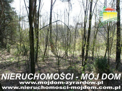 Działka leśna - Wycześniak   -
Mazowieckie Zdjęcie nr 6