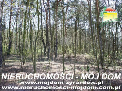Działka leśna - Wycześniak   -
Mazowieckie Zdjęcie nr 8