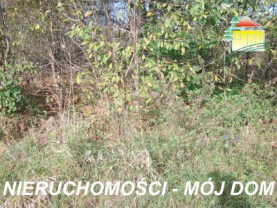 Działka budowlana - Kowiesy  -
Łódzkie Zdjęcie nr 2