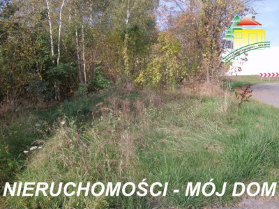 Działka budowlana - Kowiesy  -
Łódzkie Zdjęcie nr 4
