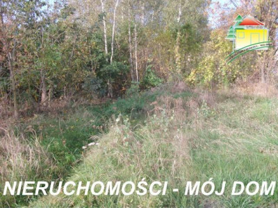 Działka budowlana - Kowiesy  -
Łódzkie Zdjęcie nr 5