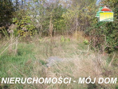 Działka budowlana - Kowiesy  -
Łódzkie Zdjęcie nr 6